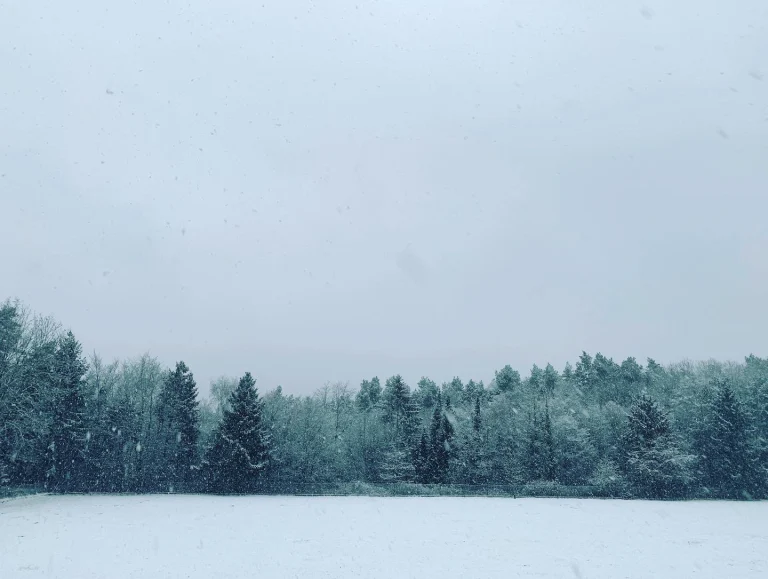 Eindrücke: Der Winter ist zurück
